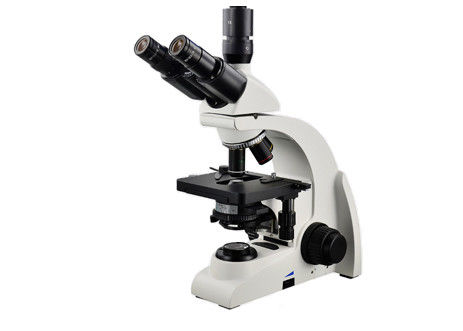 haarartige Löcher Trinocular biologisches Mikroskop 40X 1000X Labormikroskop-4