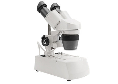 Stereostudent Binocular Microscope LED-lauten Summens des mikroskop-4X 20X