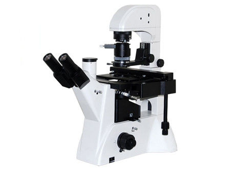 Wissenschafts-Labormikroskop-Qualität WF10X/22mm 5W LED Trinocular DIC