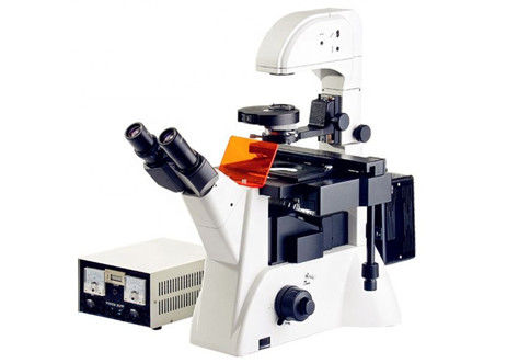 Umgekehrtes Fluoreszenz-Biologie-Labormikroskop Edu Science Microscope 1200x 20X