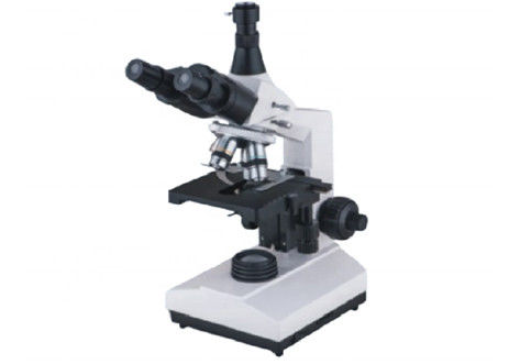 Trinocular WF10X 1600X wandelte biologisches Mikroskop-Mittel-Halogen-Lampe 6V 20W um