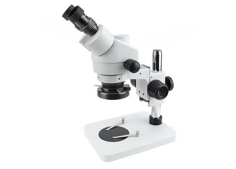 Stereomikroskop-binokulares Digital-Schmuck 12V Smartphone-lauten Summens DC