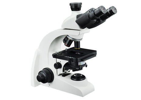 Pädagogisches tragbares biologisches Mikroskop des Mikroskop-1000x WF10X Trinocular