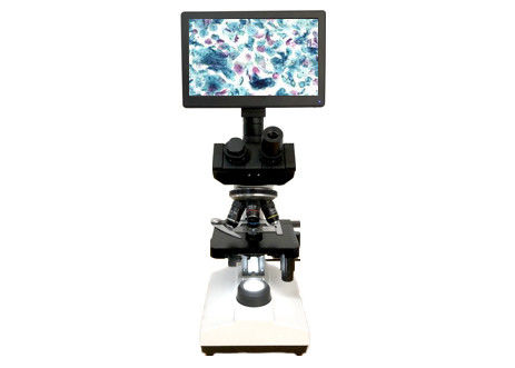 Qualität  LCD Screen Lab Biological Microscope 10X 40X 6V 20W Monocular Light Microscope Fabrik