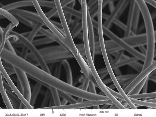 Maximale Entschließung EDS BSE 150000X der linearen Wiedergabe des Rasterelektronenmikroskop-5nm
