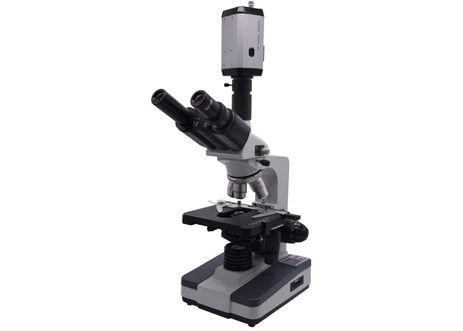 WF10X CCD 40X 0,65 Live Blood Analysis Microscope Digital Videobiologisches