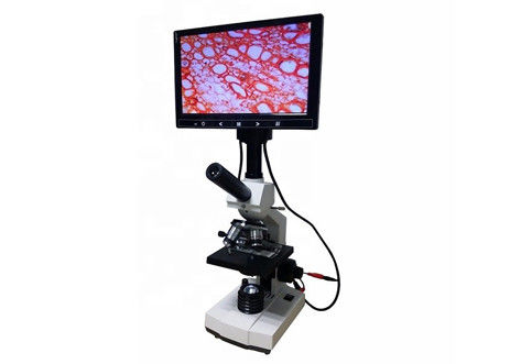 Mikroskop-Blutzelle-Analyse Lcd Digital biologisches Mikroskop WF10X 2000X Labor