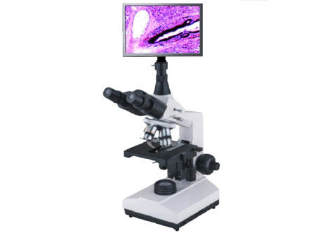 40-1600X biologisches Lcd Schirm-Mikroskop mit Videoausgang-hellem Feld