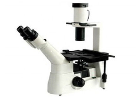 Effektivwert verlegte umgekehrte optische Leben-Zelle des Mikroskop-Licht-WF10X/22mm