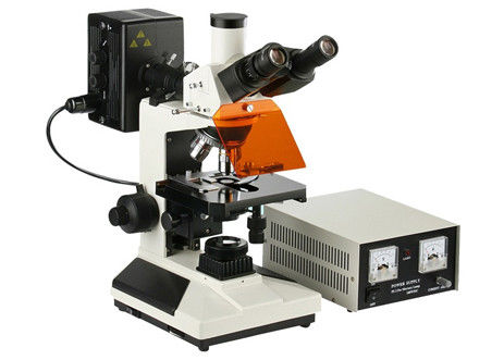 Lichtmikroskop-Biologie des Epi-Fluoreszenz-Wissenschafts-Labormikroskop-4X 100X