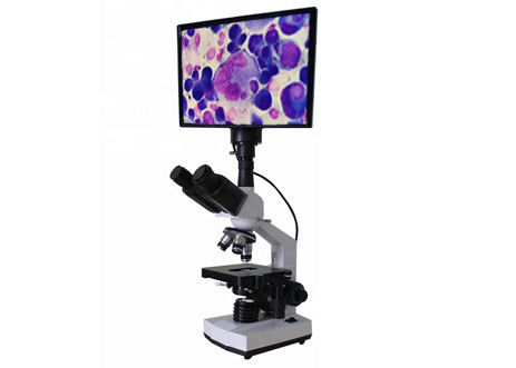 Feld-Mikroskop-Biologie-Diskussion der LCD-Mikroskopie-Biologie-Diskussions-WF10X 400X helle