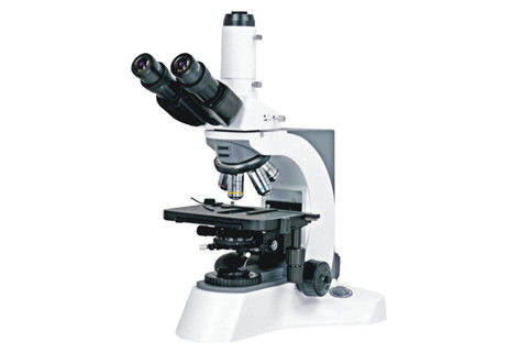 Binokulares Beleuchtungs-Mikroskop des Laborbiologischen Mikroskop-WF10X/23mm Trinocular Kohler