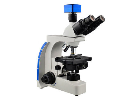 Helles Feld des Halogen Trinocular-Phasen-Kontrast-Mikroskop-1000X und Dunkelfeld-Mikroskopie