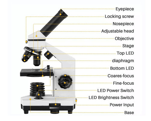 Monocular Drawtube-Studenten-Biological Microscope 640X ODM