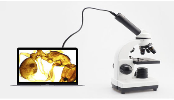 Monocular Drawtube-Studenten-Biological Microscope 640X ODM