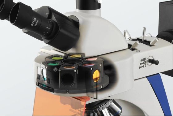 Integrierte Position des Dunkelfeld-Polarisierungslaborbiologischen Mikroskop-4
