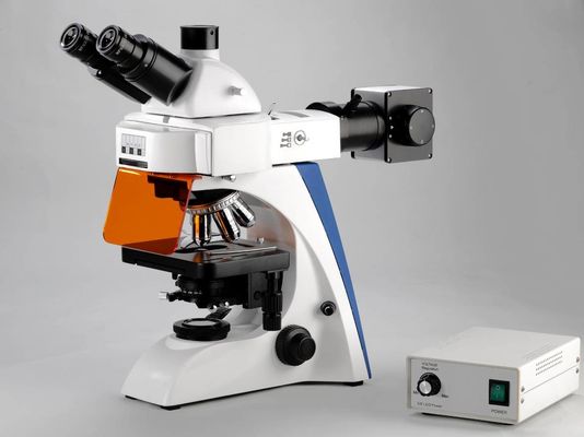 Integrierte Position des Dunkelfeld-Polarisierungslaborbiologischen Mikroskop-4