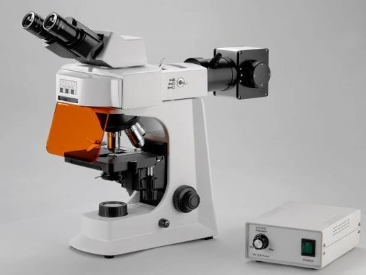 Weißes Trinocular-Laborbiologisches Mikroskop mit mechanischem Stadium