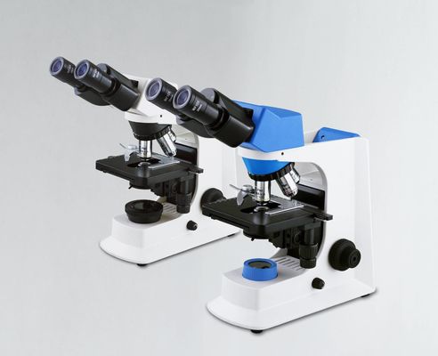 Weißes Trinocular-Laborbiologisches Mikroskop mit mechanischem Stadium