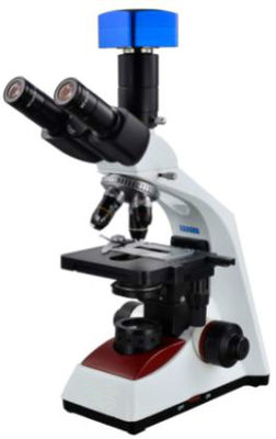 Biologisches Mikroskop Trinocular WF10X 18mm des Labor40x-1000x für die Höhereinstufung