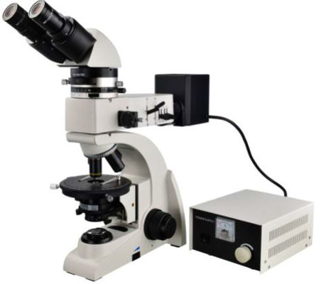 optisches Polarisationsmikroskop-binokulare metallurgische Material-Wissenschaft 60X 800X