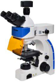 Fluoreszenz-Mikroskop des Trinocular-Biologie-Labormikroskop-40X 100X Epi