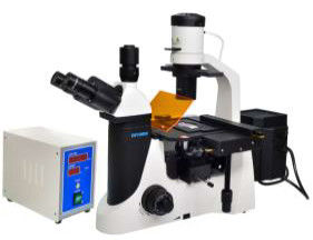 Mikroskop Epi LED Leuchtstoff Biologie-Labormikroskop Trinocular 40X 1000X